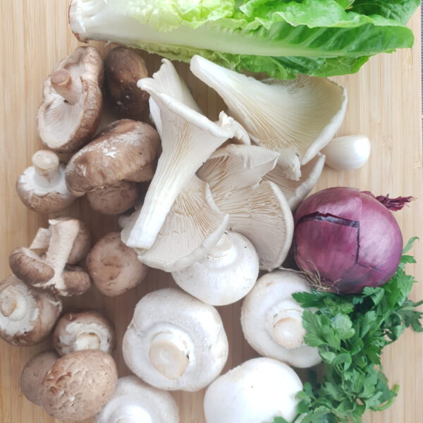 Champignon salade