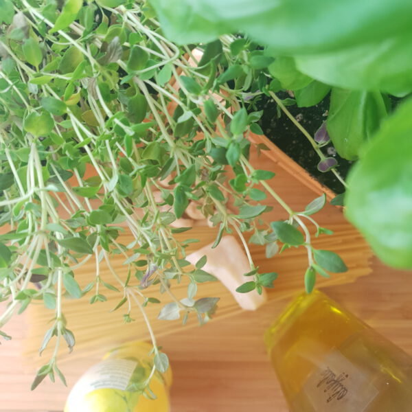 Pasta met basilicum-tijmpesto